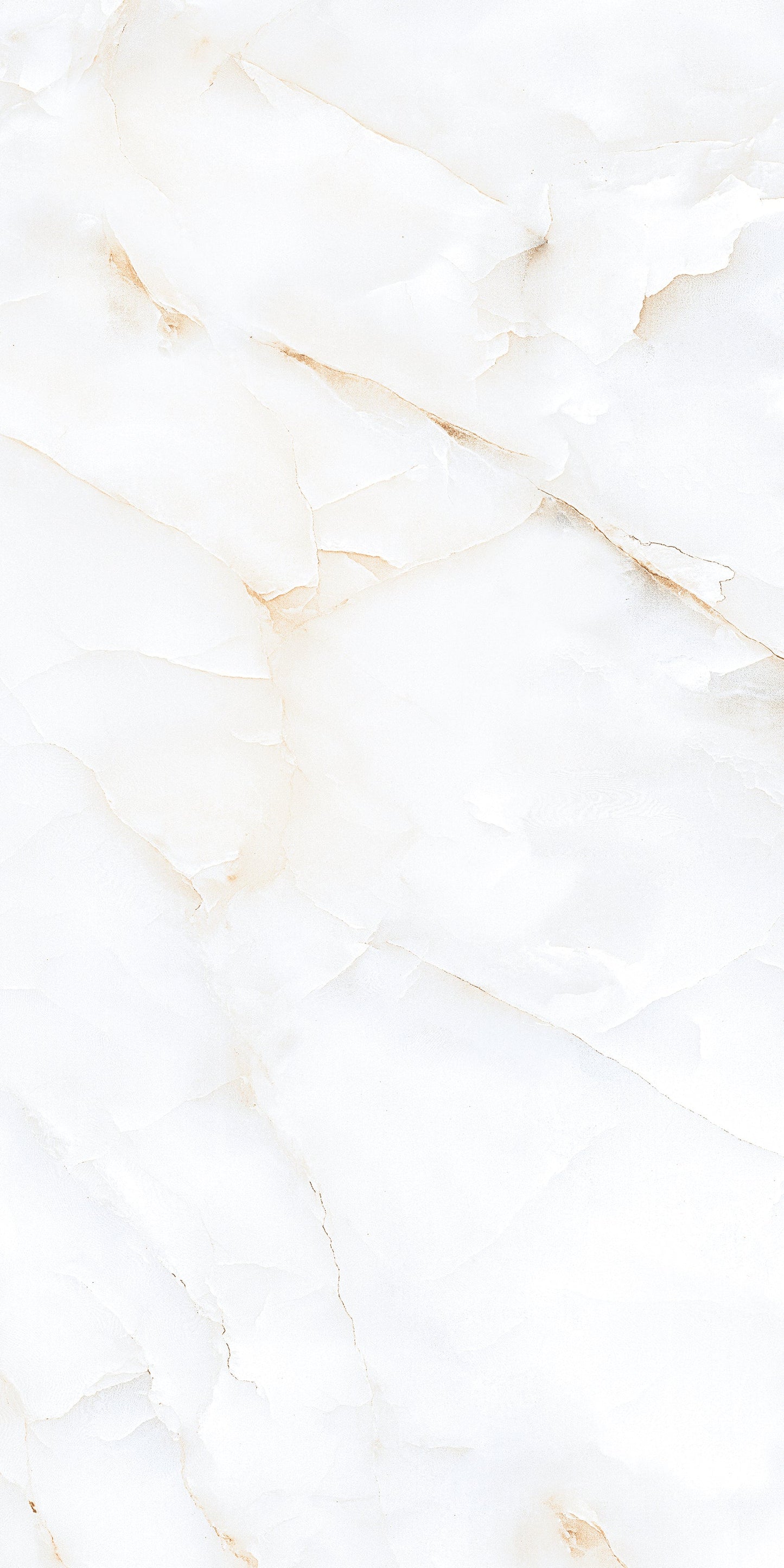 Milky white (600 X 1200 mm)