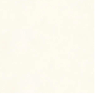 Norway Bianco (600 X 600 mm)